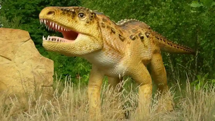 Puhisto2